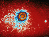 Buy Common Cold Rhino Virus Type 1A X100 000 at AllPosters.com