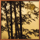 Buy Shadow Play II at AllPosters.com