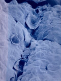 Buy Skin Folds Surface Cells Scanning Electron Micro at AllPosters.com
