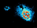 Buy Hepatitis B Virus Em at AllPosters.com