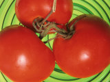 Buy Red Ripe Tomatoes Food Green Glass Bowl at AllPosters.com