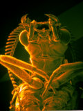 Pseudocolored Sem Moth X11 Showing Antennae