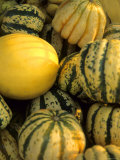 Buy Varied Color Size Squash Farmers Market Chicago at AllPosters.com