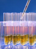 Close Up Test Tubes in Rack with Pipette