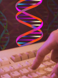 Buy Conceptual DNA Research DNA Computers Finger Hand at AllPosters.com