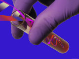 Buy Conceptual DNA Research DNA in Test Tube at AllPosters.com