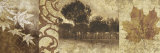 Buy Equinox I at AllPosters.com