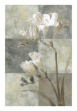 Buy Memento II at AllPosters.com