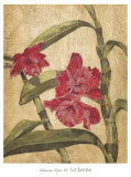 Buy Hawaiian Tropics III at AllPosters.com