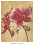Buy HawaiianTropics II at AllPosters.com