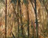 Buy Bamboo Forest II at AllPosters.com