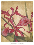 Buy Hawaiian Tropics I at AllPosters.com