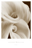 Buy Fleur No. 1 at AllPosters.com
