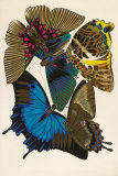 Collection I