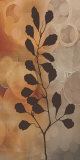 Buy Flora I at AllPosters.com