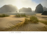 Buy Morning Fog Lift at AllPosters.com