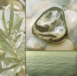 Zen Elements IV Art Print