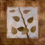 Buy Birch at AllPosters.com