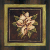 Magnolia II Art Print