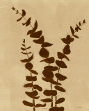 Buy Platinum Shadow I at AllPosters.com