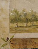 Buy Olive Groves I at AllPosters.com
