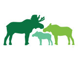 Green Moose