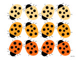 Orange Lady Bug Family