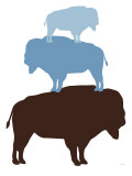 Buy Blue Buffalo at AllPosters.com