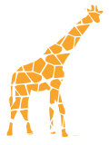 Orange Reticulated