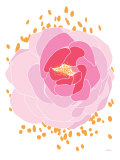 Pink Peony