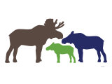 Multi Moose