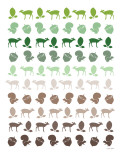 Brown Forest