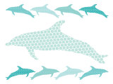 Seagreen Dolphin Family