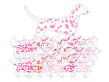 Pink Dalmation Pattern