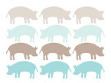 Seagreen Pig Family