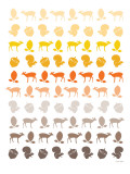 Orange Forest