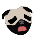 Pug