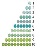 Buy Green Counting Kiwi at AllPosters.com