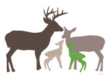 Green Deer