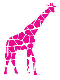 Pink Reticulated