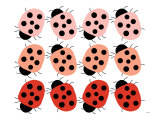 Red Ladybug Family