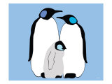 Blue Penguins