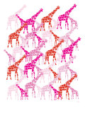Pink Giraffe Pattern