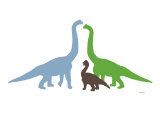 Multi Longneck Premium Poster