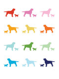 Rainbow Labs