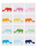 Rainbow Grey Rhinos