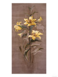 Buy Elegance of Springtime IV at AllPosters.com