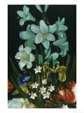 Buy Untitled at AllPosters.com