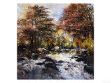 Buy Near the Creek at AllPosters.com