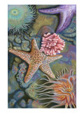 Buy Tidepool Scene at AllPosters.com